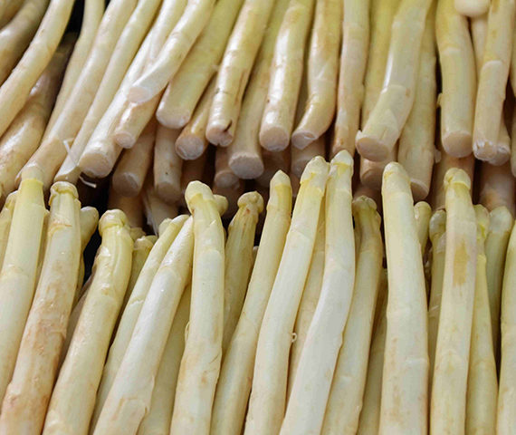 Erntehelfer von ucm.agency Erntehelfer von ucm.agency