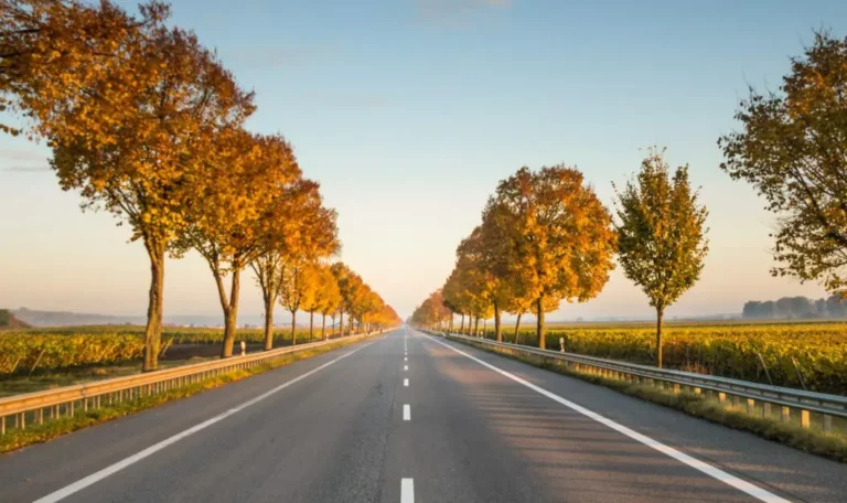 Eine Landstraße im Grünen mit Bäumen neben der Straße